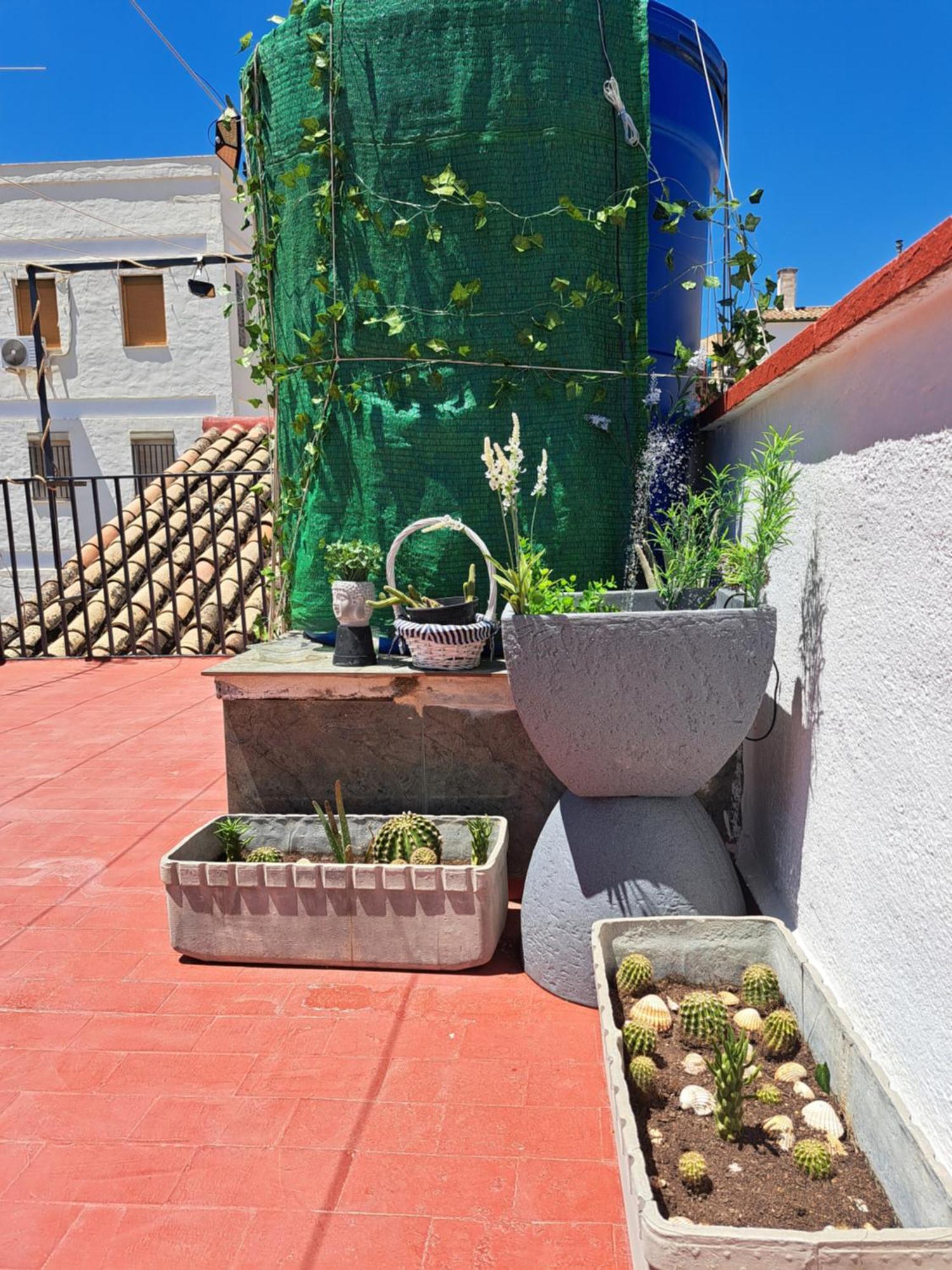Apartmán Casa Paloma Jaén Exteriér fotografie